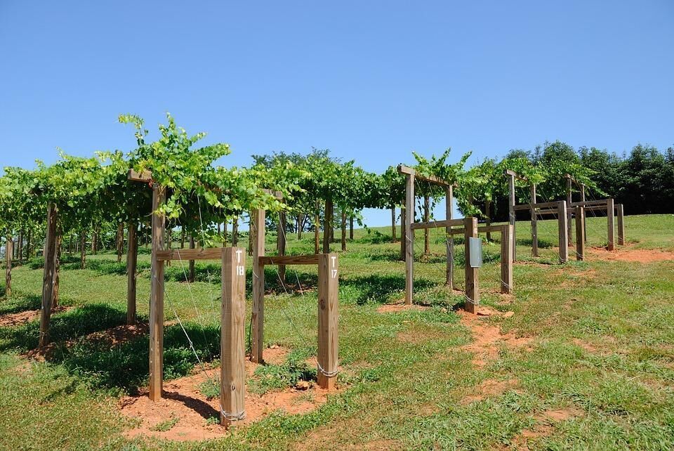 Georgia